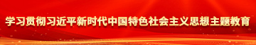 免费暴操成人搞屄视频学习贯彻习近平新时代中国特色社会主义思想主题教育